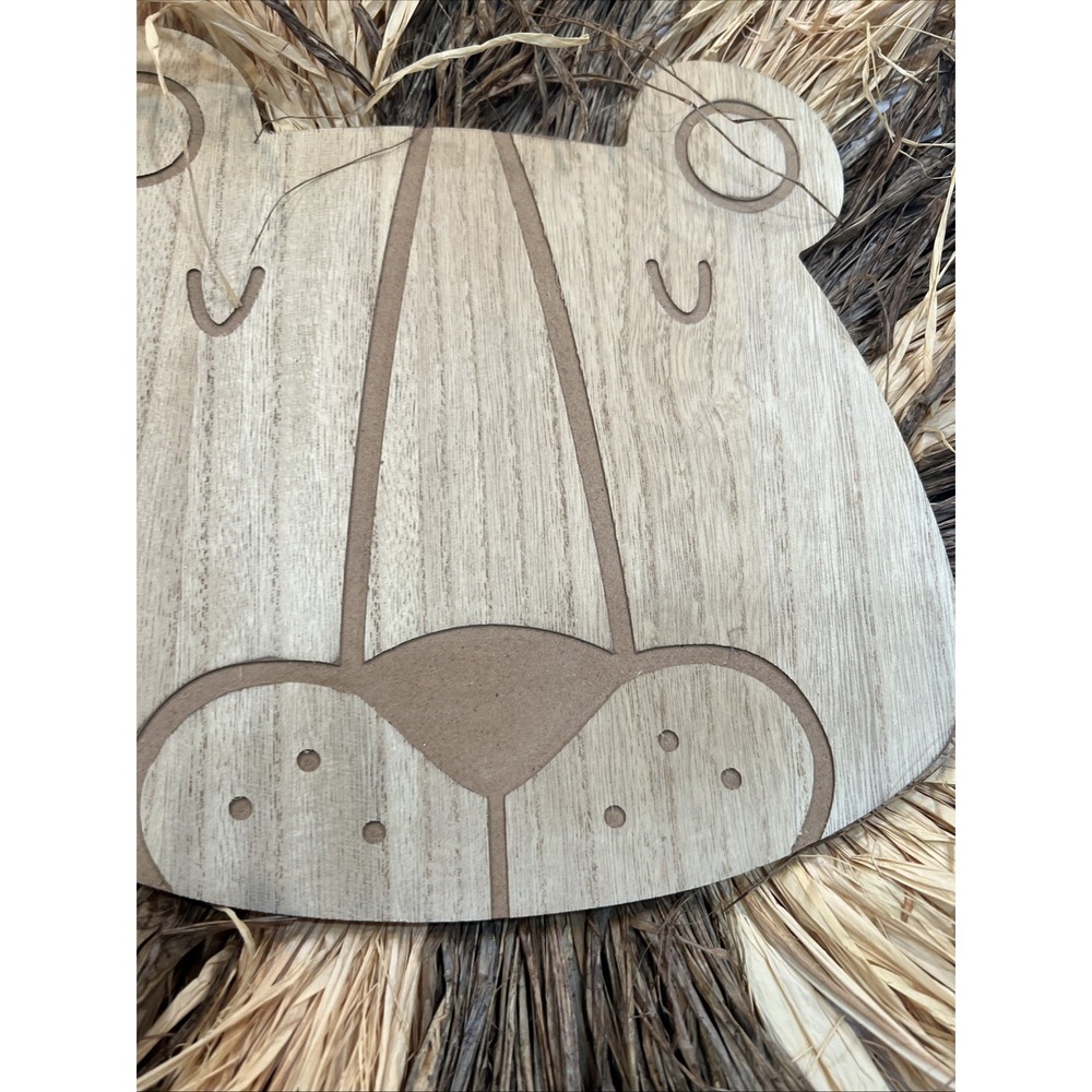 Lion & Giraffe Raffia Wall Decor | Safari Jungle | Nursery | Kids Room | Decor - Picture 11 of 12